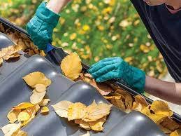 Should You Tip Gutter Cleaners? A Homeowner's Guide to Gratitude